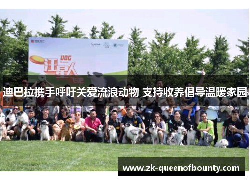 迪巴拉携手呼吁关爱流浪动物 支持收养倡导温暖家园