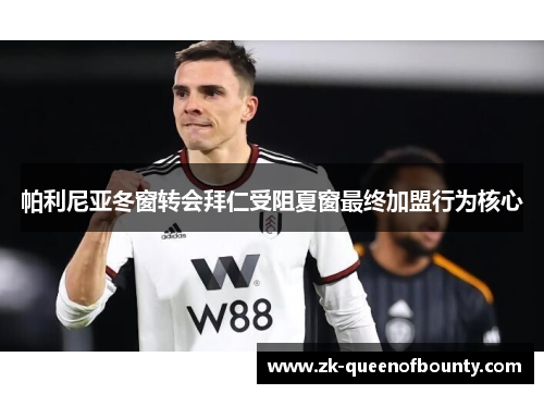 帕利尼亚冬窗转会拜仁受阻夏窗最终加盟行为核心